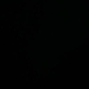 Meet your Posher, Savannah